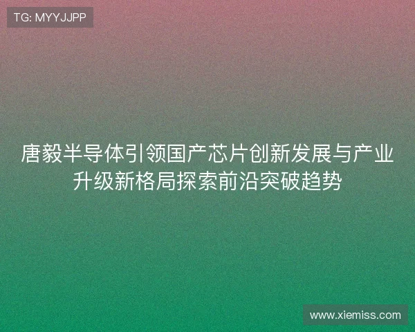 唐毅半导体引领国产芯片创新发展与产业升级新格局探索前沿突破趋势 唐毅半导体引领国产芯片创新发展与产业升级新格局探索前沿突破趋势